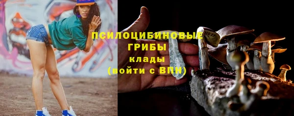 меф Няндома
