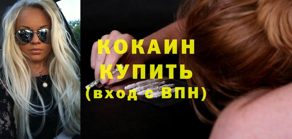 гашик Осташков