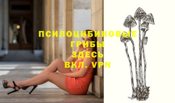 меф Няндома