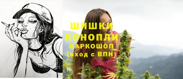 гашик Осташков
