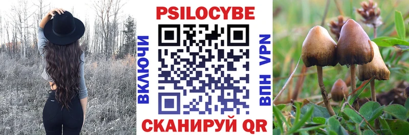 Псилоцибиновые грибы Magic Shrooms что такое наркотик Кудымкар