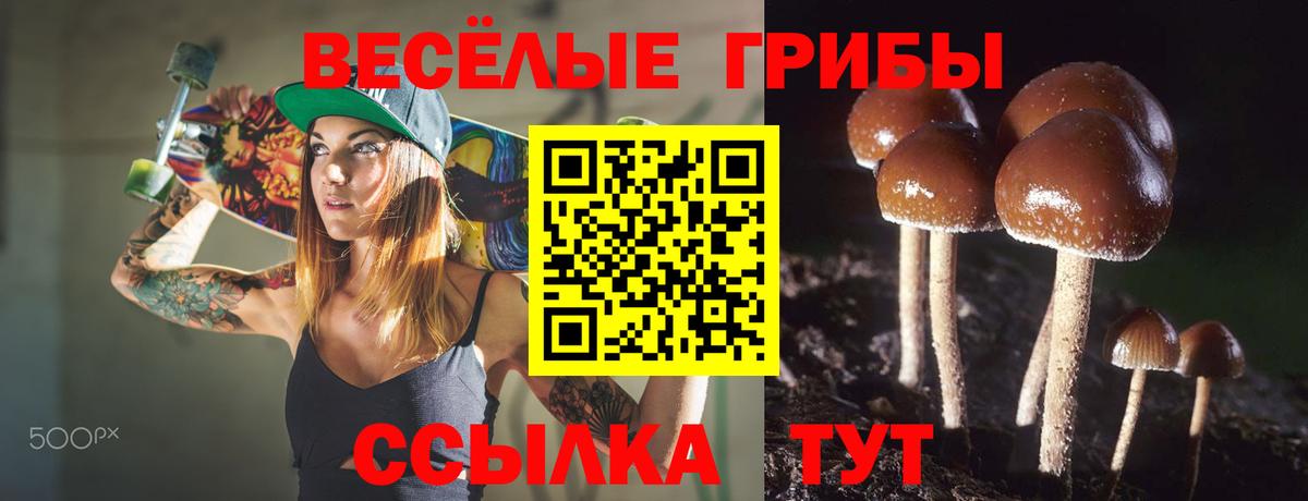 Псилоцибиновые грибы Magic Shrooms Кудымкар